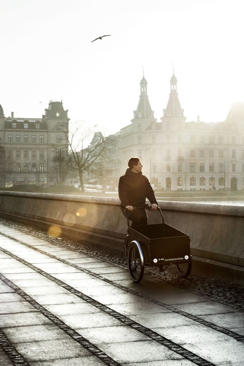 15925541-02bkugolden-days1-121422jpg